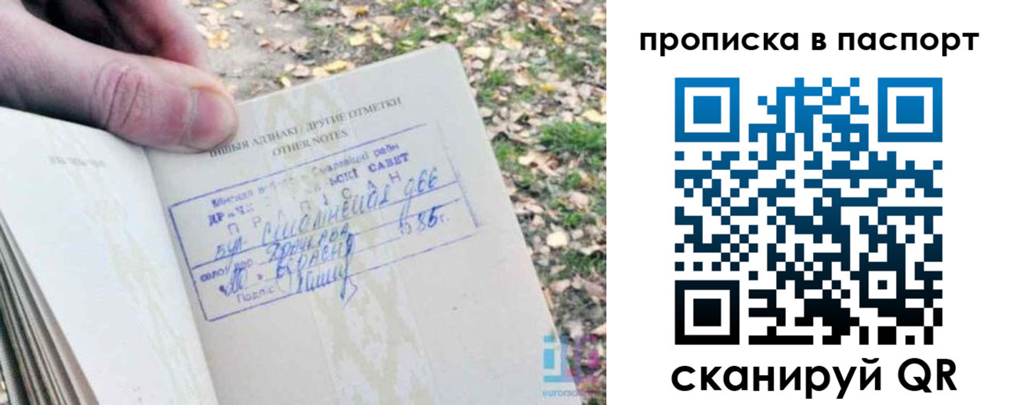 временная регистрация собственник в Мончегорске