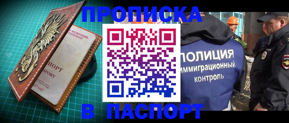прописка в Мончегорске